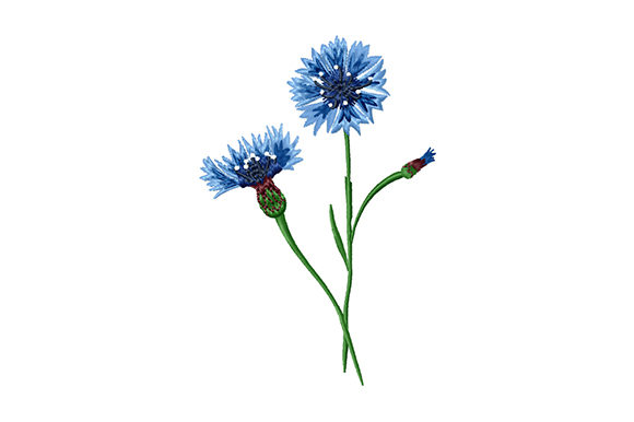 Bouquet of Cornflowers: A Practical Review for Embroidery Pros