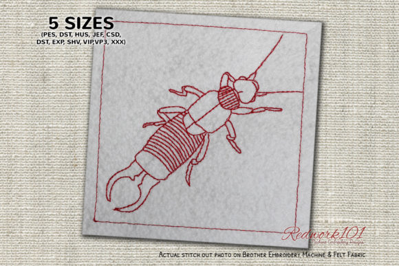 Wild Earwig Lineart: A Designer's Review for Personalized Gifts